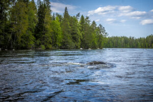 Konneveden Kosket mukana kehittämässä vastuullista matkailua Keski-Suomessa